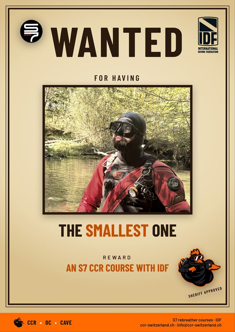 S7 – «Wanted: the smallest one»