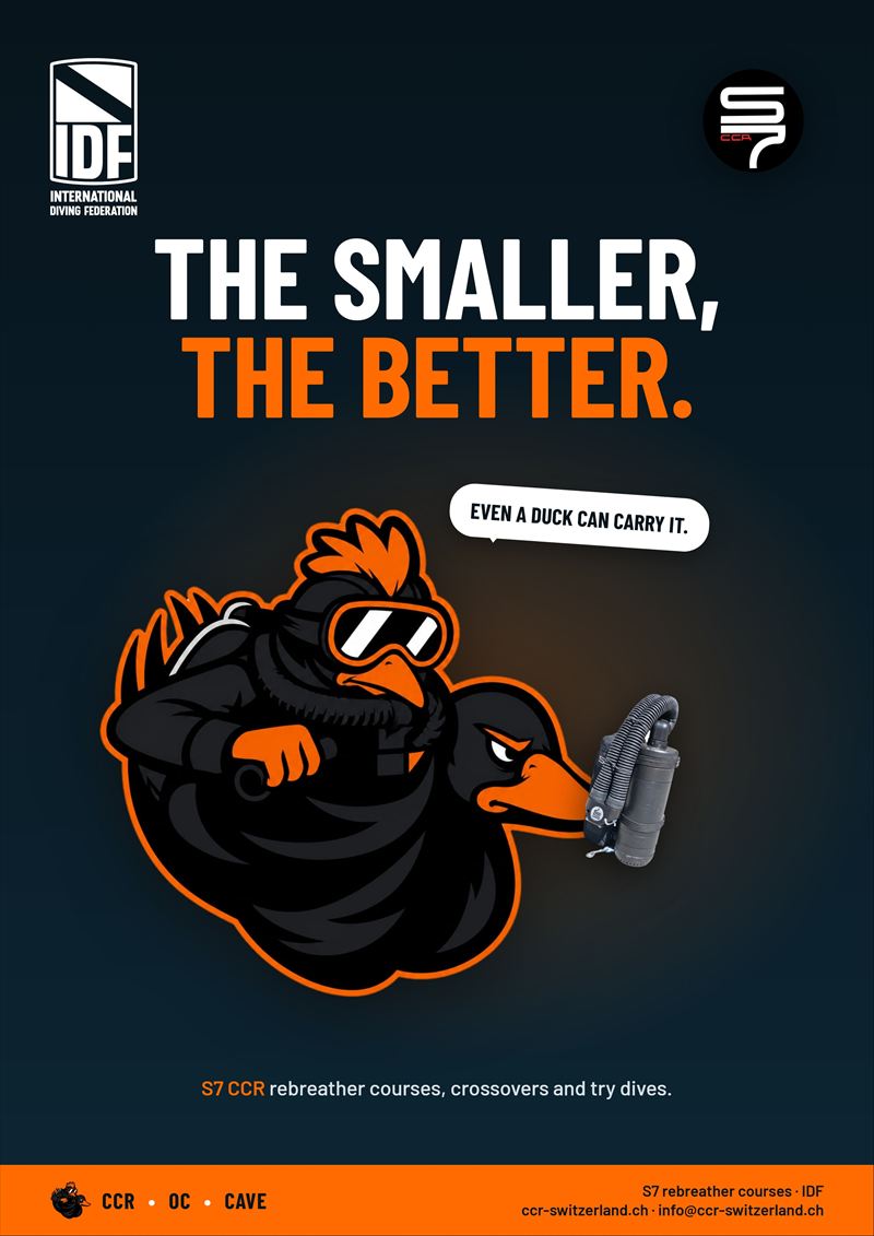 S7 – «The smaller, the better (duck)»
